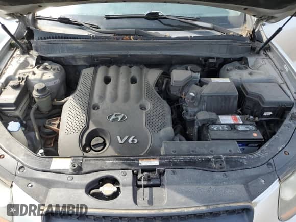 2008 Hyundai Santa Fe GLS with VIN 5NMSG73D18H168334, listed as a Copart auction lot 54840974 with 206,229 mi miles and Clean title. Bid and sale history available at DreamBid. Image 12.