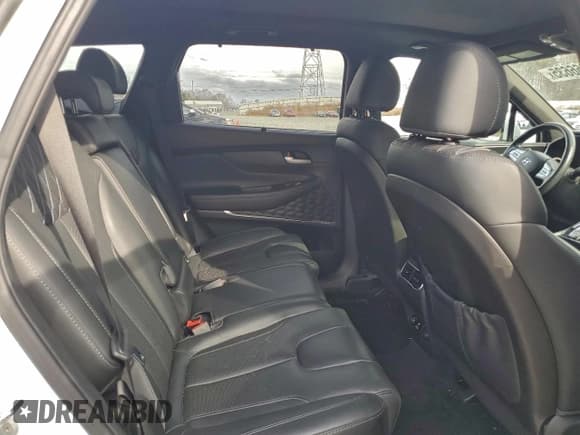 ✅ 2023 Hyundai Santa Fe Calligraphy • VIN: 5NMS5DAL6PH520093 • Lot: 94266635. Listed on Copart with 58,112 mi. Free auction sales archive from the USA and detailed vehicle history report at DreamBid. Image 11.