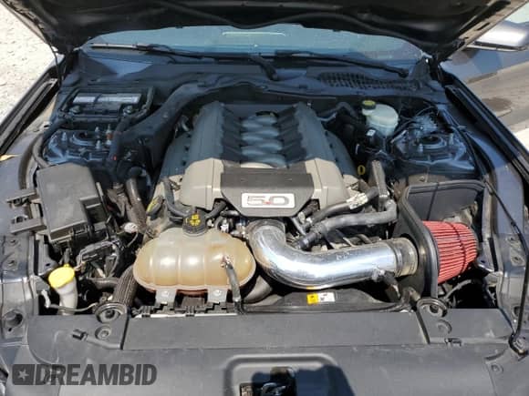 2015 Ford Mustang GT Premium with VIN 1FA6P8CF0F5404759, listed as a Copart auction lot 69255045 with Not provided miles and Salvage title. Bid and sale history available at DreamBid. Image 11.