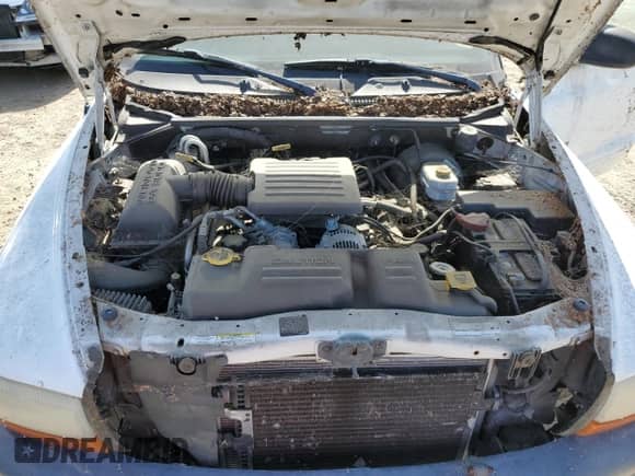 2002 Dodge Dakota SLT with VIN 1B7HL48N92S611184, listed as a Copart auction lot 55685604 with Not provided miles and Salvage title. Bid and sale history available at DreamBid. Image 11.