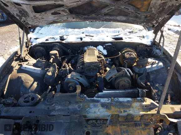 ✅ 1986 Pontiac Firebird Trans Am • VIN: 1G2FW87F6GN210279 • Лот: 41260317. Опубликован ранее на IAAI с пробегом 124 290 миль. Бесплатный доступ к архиву аукционных продаж из США и подробный отчёт об истории автомобиля на DreamBid. Изображение 10.