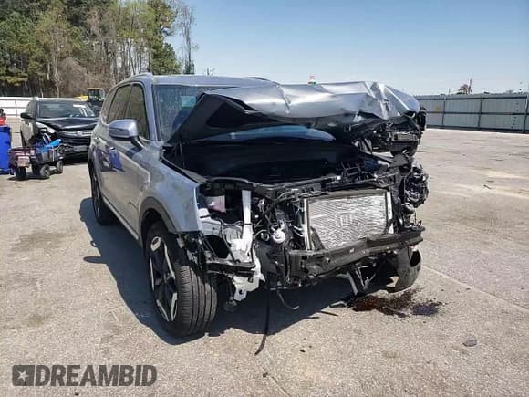 ✅ 2024 Kia Telluride EX • VIN: 5XYP34GC1RG540087 • Lot: 51130565. Listed on Copart with 5,869 mi. Free auction sales archive from the USA and detailed vehicle history report at DreamBid. Image 12.