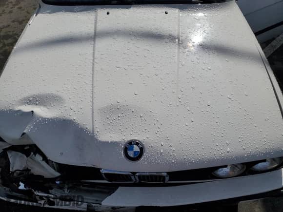 1991 BMW 3 Series z VIN WBABB2318MEC26069, wystawiony jako Copart lot #42630475 z przebiegiem 202 634 mil mil oraz Szkoda całkowita • Salvage title. Historia ofert i sprzedaży dostępna na DreamBid. Obrazek 11.