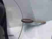 2003 Dodge 1500 ST z VIN 1D7HA18Z33S163409, wystawiony jako IAAI lot #41995869 z przebiegiem 260 663 mil mil oraz . Historia ofert i sprzedaży dostępna na DreamBid. Obrazek 11.