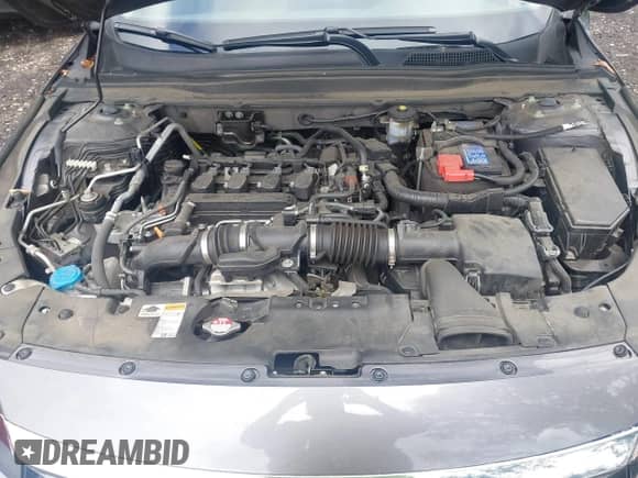 2022 Honda Accord EX-L с VIN 1HGCV1F56NA006721, выставлен на аукционе IAAI как лот 43030981 с пробегом 102 894 миль миль и . История ставок и продаж доступна на DreamBid. Изображение 10.