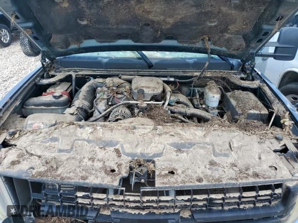 ✅ 2009 Chevrolet Silverado 1500 • VIN: 1GCJC83689F104417 • Лот: 65464745. Опубликован ранее на Copart с пробегом Не указан. Бесплатный доступ к архиву аукционных продаж из США и подробный отчёт об истории автомобиля на DreamBid. Изображение 11.