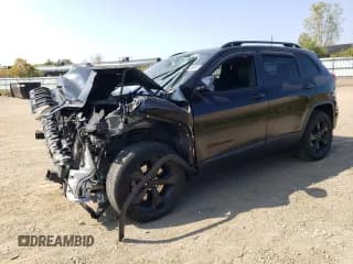 ✅ 2017 Jeep Cherokee High Altitude • VIN: 1C4PJMDS5HW560832 • Lot: 81283695. Listed on Copart with 111,375 mi. Free auction sales archive from the USA and detailed vehicle history report at DreamBid. Image 1.