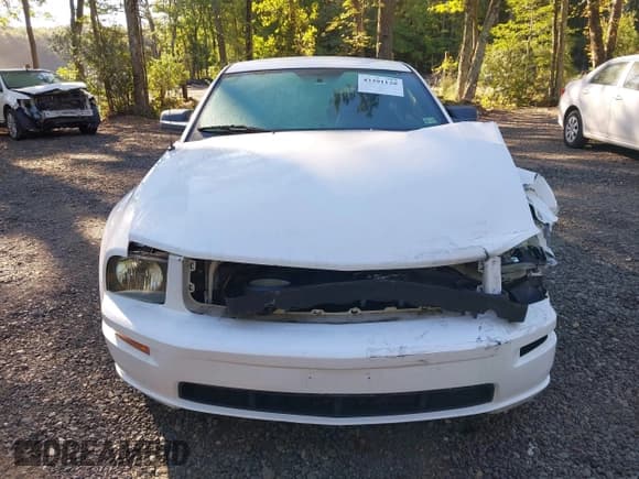 ✅ 2005 Ford Mustang GT Deluxe • VIN: 1ZVFT82HX55123301 • Lot: 43391120. Wystawiony na IAAI z przebiegiem 140 844 mil. Bezpłatny archiwum sprzedaży aukcyjnych z USA i szczegółowy raport historii pojazdu na DreamBid. Zdjęcie 12.