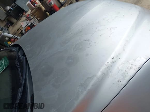 ✅ 2012 Toyota RAV4 • VIN: 2T3BF4DV2CW183762 • Лот: 42538617. Опубликован ранее на IAAI с пробегом 134 926 миль. Бесплатный доступ к архиву аукционных продаж из США и подробный отчёт об истории автомобиля на DreamBid. Изображение 6.