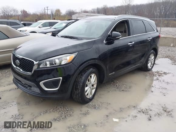 ✅ 2017 Kia Sorento LX • VIN: 5XYPGDA55HG211650 • Lot: 43786637. Listed on IAAI with 144,038 mi. Free auction sales archive from the USA and detailed vehicle history report at DreamBid. Image 2.