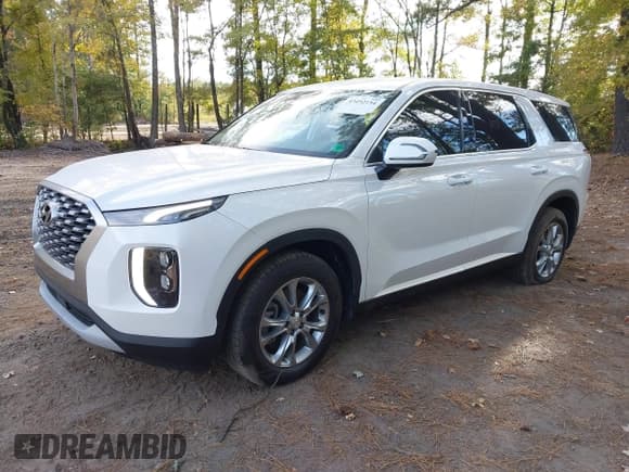 ✅ 2022 Hyundai Palisade SE • VIN: KM8R14HE0NU393473 • Лот: 43492154. Опубликован ранее на IAAI с пробегом 78 299 миль. Бесплатный доступ к архиву аукционных продаж из США и подробный отчёт об истории автомобиля на DreamBid. Изображение 18.