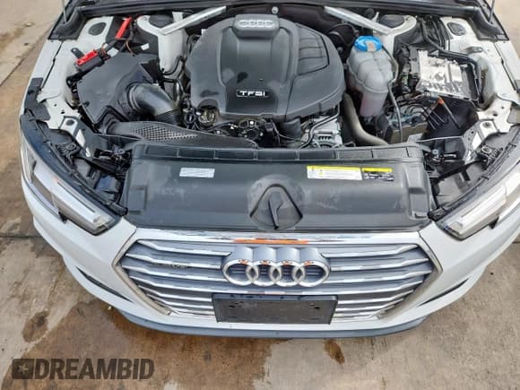 ✅ 2019 Audi A4 Premium Plus • VIN: WAUENAF49KA037596 • Lot: 70231505. Listed on Copart with 72,434 mi. Free auction sales archive from the USA and detailed vehicle history report at DreamBid. Image 11.