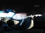 ✅ 2020 Honda Civic LX • VIN: SHHFK7H32LU209255 • Lot: 43537644. Listed on IAAI with 106,956 mi. Free auction sales archive from the USA and detailed vehicle history report at DreamBid. Image 18.