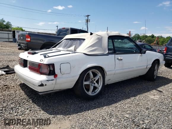 ✅ 1991 Ford Mustang • VIN: 1FACP44M4MF153969 • Lot: 57260195. Wystawiony na Copart z przebiegiem 115 147 mil. Bezpłatny archiwum sprzedaży aukcyjnych z USA i szczegółowy raport historii pojazdu na DreamBid. Zdjęcie 3.