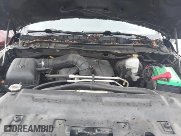 ✅ 2010 Dodge 1500 TRX • VIN: 1D7RV1GTXAS260089 • Lot: 42310926. Wystawiony na IAAI z przebiegiem 290 531 mil. Bezpłatny archiwum sprzedaży aukcyjnych z USA i szczegółowy raport historii pojazdu na DreamBid. Zdjęcie 10.