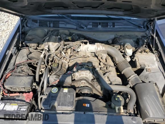 ✅ 2006 Ford Police Interceptor • VIN: 2FAFP71W76X136451 • Lot: 57939364. Wystawiony na Copart z przebiegiem Nie podano. Bezpłatny archiwum sprzedaży aukcyjnych z USA i szczegółowy raport historii pojazdu na DreamBid. Zdjęcie 11.