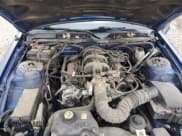 ✅ 2009 Ford Mustang • VIN: 1ZVHT80N395127410 • Lot: 80340174. Listed on Copart with 141,224 mi. Free auction sales archive from the USA and detailed vehicle history report at DreamBid. Image 11.