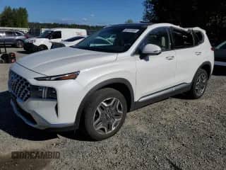 2022 Hyundai Santa Fe Limited with VIN 5NMS4DAL8NH393895, listed as a Copart auction lot 69767885 with 31,623 mi miles and Salvage title. Bid and sale history available at DreamBid. Image 1.