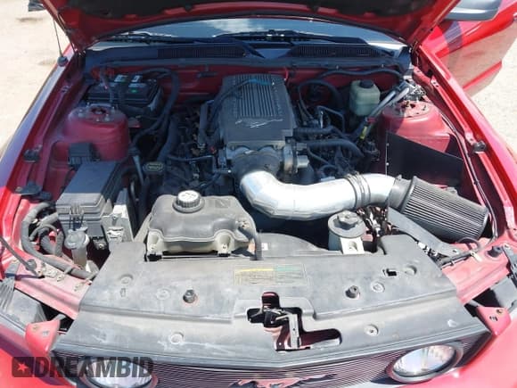 ✅ 2008 Ford Mustang GT Deluxe • VIN: 1ZVHT82H085147779 • Lot: 42927754. Listed on IAAI with 200,463 mi. Free auction sales archive from the USA and detailed vehicle history report at DreamBid. Image 10.