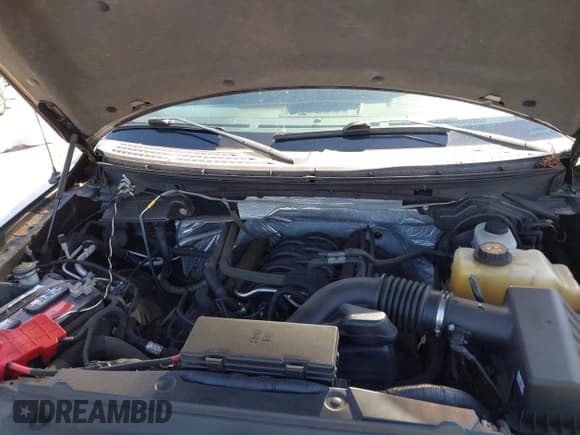 ✅ 2012 Ford F-150 XL • VIN: 1FTFX1EF3CFC44770 • Lot: 42737056. Wystawiony na IAAI z przebiegiem 91 302 mil. Bezpłatny archiwum sprzedaży aukcyjnych z USA i szczegółowy raport historii pojazdu na DreamBid. Zdjęcie 10.