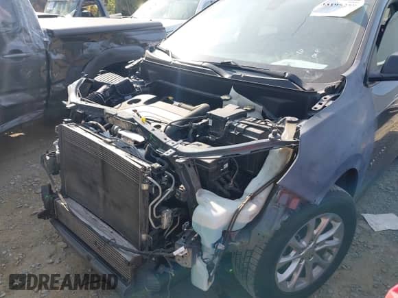 ✅ 2019 Chevrolet Equinox LS • VIN: 2GNAXHEV0K6299087 • Lot: 43195259. Wystawiony na IAAI z przebiegiem 120 019 mil. Bezpłatny archiwum sprzedaży aukcyjnych z USA i szczegółowy raport historii pojazdu na DreamBid. Zdjęcie 17.