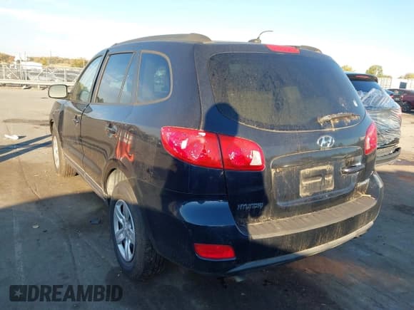 ✅ 2009 Hyundai Santa Fe GLS • VIN: 5NMSG13D09H269735 • Lot: 43642745. Listed on IAAI with 198,066 mi. Free auction sales archive from the USA and detailed vehicle history report at DreamBid. Image 3.