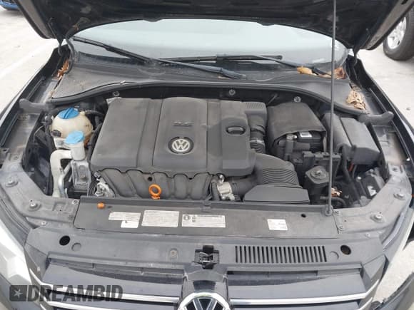 ✅ 2013 Volkswagen Passat SE • VIN: 1VWBP7A36DC073252 • Lot: 43928171. Wystawiony na IAAI z przebiegiem 113 584 mil. Bezpłatny archiwum sprzedaży aukcyjnych z USA i szczegółowy raport historii pojazdu na DreamBid. Zdjęcie 10.