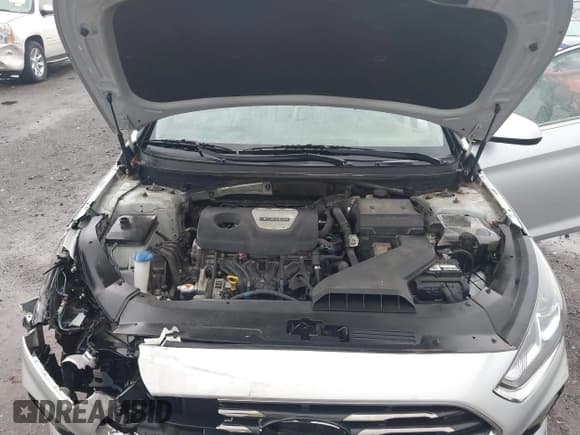 ✅ 2018 Hyundai Sonata Eco • VIN: 5NPE24AA8JH715949 • Лот: 43245170. Опубликован ранее на IAAI с пробегом 124 662 миль. Бесплатный доступ к архиву аукционных продаж из США и подробный отчёт об истории автомобиля на DreamBid. Изображение 10.