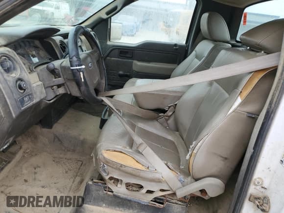 ✅ 2009 Ford F-150 XL • VIN: 1FTRF12W69KA81665 • Lot: 71260234. Listed on Copart with Not provided. Free auction sales archive from the USA and detailed vehicle history report at DreamBid. Image 7.