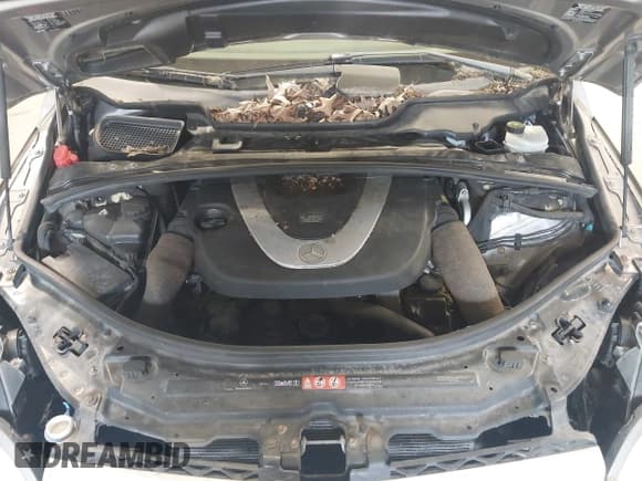 ✅ 2006 Mercedes-Benz R 3.5L • VIN: 4JGCB65E36A035404 • Lot: 42978340. Listed on IAAI with 147,747 mi. Free auction sales archive from the USA and detailed vehicle history report at DreamBid. Image 10.