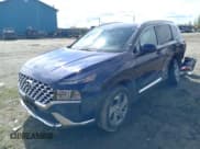 ✅ 2021 Hyundai Santa Fe SEL • VIN: 5NMS2DAJ7MH346196 • Lot: 59337063. Wystawiony na Copart z przebiegiem 16 060 mil. Bezpłatny archiwum sprzedaży aukcyjnych z USA i szczegółowy raport historii pojazdu na DreamBid. Zdjęcie 1.