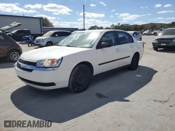 2004 Chevrolet Malibu with VIN 1G1ZS52F84F135173, listed as a Copart auction lot 76498134 with 205,466 mi miles and Salvage title. Bid and sale history available at DreamBid. Image 1.