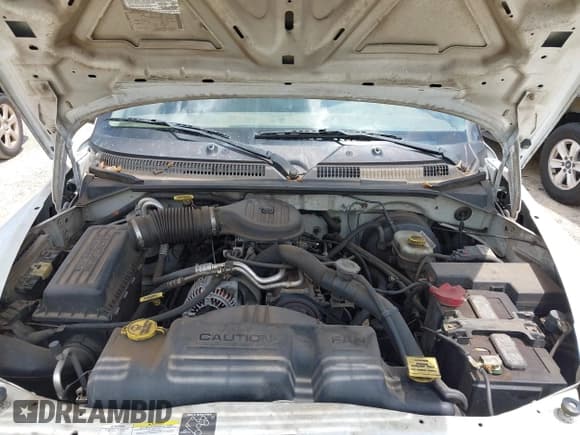 ✅ 2003 Dodge Dakota SLT • VIN: 1D7HL48X63S144573 • Lot: 42798150. Wystawiony na IAAI z przebiegiem 224 361 mil. Bezpłatny archiwum sprzedaży aukcyjnych z USA i szczegółowy raport historii pojazdu na DreamBid. Zdjęcie 10.