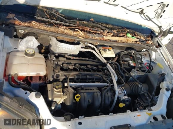 ✅ 2010 Ford Transit Connect XL • VIN: NM0LS6AN2AT030716 • Лот: 41835520. Опубликован ранее на IAAI с пробегом 121 552 миль. Бесплатный доступ к архиву аукционных продаж из США и подробный отчёт об истории автомобиля на DreamBid. Изображение 10.