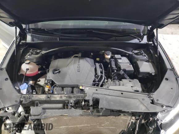 ✅ 2021 Hyundai Santa Fe SEL • VIN: 5NMS3DAJ5MH339163 • Lot: 43904523. Wystawiony na Copart z przebiegiem 19 283 mil. Bezpłatny archiwum sprzedaży aukcyjnych z USA i szczegółowy raport historii pojazdu na DreamBid. Zdjęcie 12.