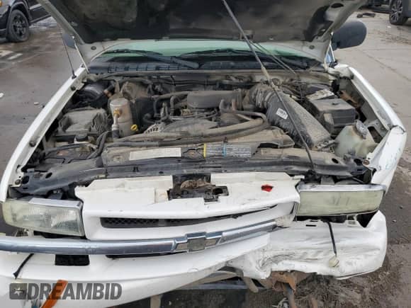 2004 Chevrolet Blazer LS z VIN 1GNDT13X74K164452, wystawiony jako Copart lot #85575704 z przebiegiem 195 214 mil mil oraz Szkoda całkowita • Salvage title. Historia ofert i sprzedaży dostępna na DreamBid. Obrazek 12.