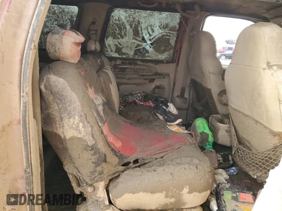 ✅ 2000 Ford Excursion Limited • VIN: 1FMSU43FXYEE15194 • Lot: 47938555. Listed on Copart with Not provided. Free auction sales archive from the USA and detailed vehicle history report at DreamBid. Image 11.