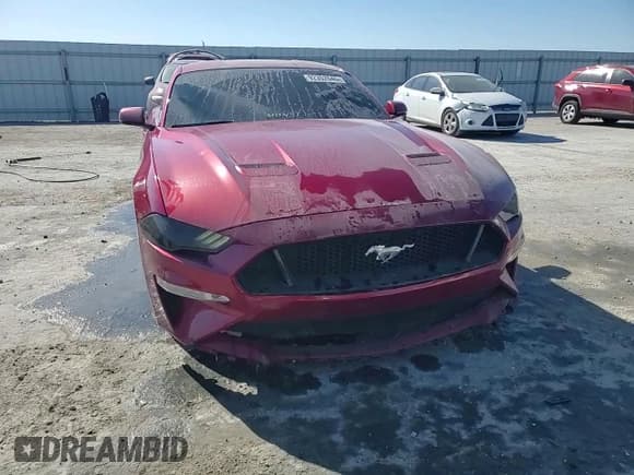 ✅ 2019 Ford Mustang GT Premium • VIN: 1FA6P8CF5K5199353 • Lot: 92352645. Wystawiony na Copart z przebiegiem 60 636 mil. Bezpłatny archiwum sprzedaży aukcyjnych z USA i szczegółowy raport historii pojazdu na DreamBid. Zdjęcie 13.