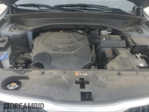 ✅ 2023 Kia Telluride EX • VIN: 5XYP34GC0PG353579 • Lot: 86160745. Listed on Copart with 87,334 mi. Free auction sales archive from the USA and detailed vehicle history report at DreamBid. Image 11.