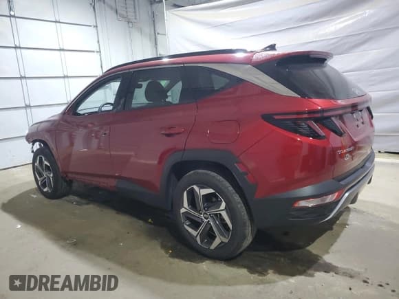 ✅ 2024 Hyundai Tucson Limited • VIN: 5NMJECDE3RH439512 • Lot: 80545435. Listed on Copart with 10,923 mi. Free auction sales archive from the USA and detailed vehicle history report at DreamBid. Image 2.