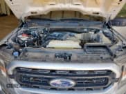 ✅ 2023 Ford F-150 XL • VIN: 1FTFW1E59PKF79832 • Lot: 86058695. Listed on Copart with 34,403 mi. Free auction sales archive from the USA and detailed vehicle history report at DreamBid. Image 11.