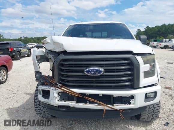 ✅ 2016 Ford F-150 XLT • VIN: 1FTEW1EG4GFD39206 • Лот: 43216939. Опубликован ранее на IAAI с пробегом 181 170 миль. Бесплатный доступ к архиву аукционных продаж из США и подробный отчёт об истории автомобиля на DreamBid. Изображение 12.