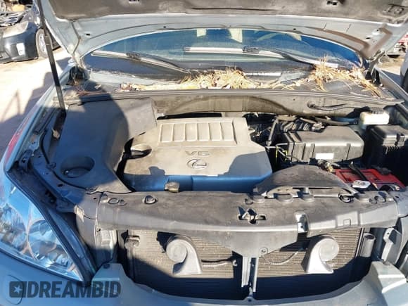 ✅ 2009 Lexus RX 350 • VIN: 2T2HK31U19C129329 • Лот: 43816718. Опубликован ранее на IAAI с пробегом 163 057 миль. Бесплатный доступ к архиву аукционных продаж из США и подробный отчёт об истории автомобиля на DreamBid. Изображение 10.