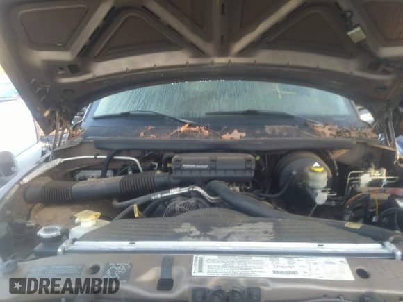 2001 Dodge 1500 with VIN 1B7HC16Y71S669658, listed as a IAAI auction lot 41472744 with 213,617 mi miles and . Bid and sale history available at DreamBid. Image 10.