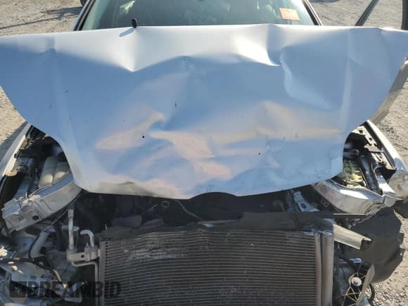 ✅ 2014 Ford Focus SE • VIN: 1FADP3F23EL190833 • Lot: 80651645. Listed on Copart with Not provided. Free auction sales archive from the USA and detailed vehicle history report at DreamBid. Image 11.