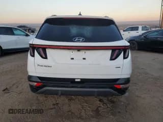 ✅ 2024 Hyundai Tucson Limited • VIN: 5NMJECDE6RH346175 • Lot: 82767624. Wystawiony na Copart z przebiegiem Nie podano. Bezpłatny archiwum sprzedaży aukcyjnych z USA i szczegółowy raport historii pojazdu na DreamBid. Zdjęcie 6.
