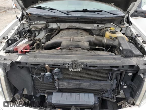 ✅ 2013 Ford F-150 XLT • VIN: 1FTFW1CT4DKG17612 • Lot: 81742915. Listed on Copart with 144,281 mi. Free auction sales archive from the USA and detailed vehicle history report at DreamBid. Image 11.