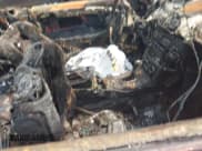 ✅ 2005 Mercedes-Benz CLK 500 • VIN: WDBTK75J85F161393 • Lot: 42394578. Wystawiony na IAAI z przebiegiem Nie podano. Bezpłatny archiwum sprzedaży aukcyjnych z USA i szczegółowy raport historii pojazdu na DreamBid. Zdjęcie 5.