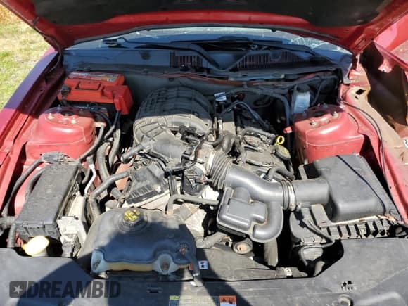 ✅ 2012 Ford Mustang Premium • VIN: 1ZVBP8AM6C5271248 • Lot: 67828355. Listed on Copart with Not provided. Free auction sales archive from the USA and detailed vehicle history report at DreamBid. Image 11.