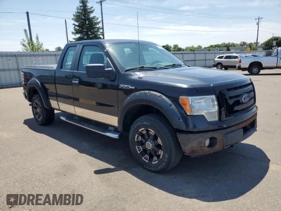 ✅ 2010 Ford F-150 XL • VIN: 1FTEX1E82AFB48073 • Lot: 62184055. Listed on Copart with 249,363 mi. Free auction sales archive from the USA and detailed vehicle history report at DreamBid. Image 4.